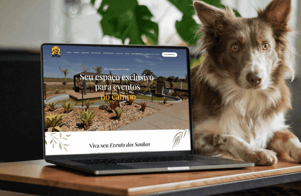 Web Design profissional em Uberlândia