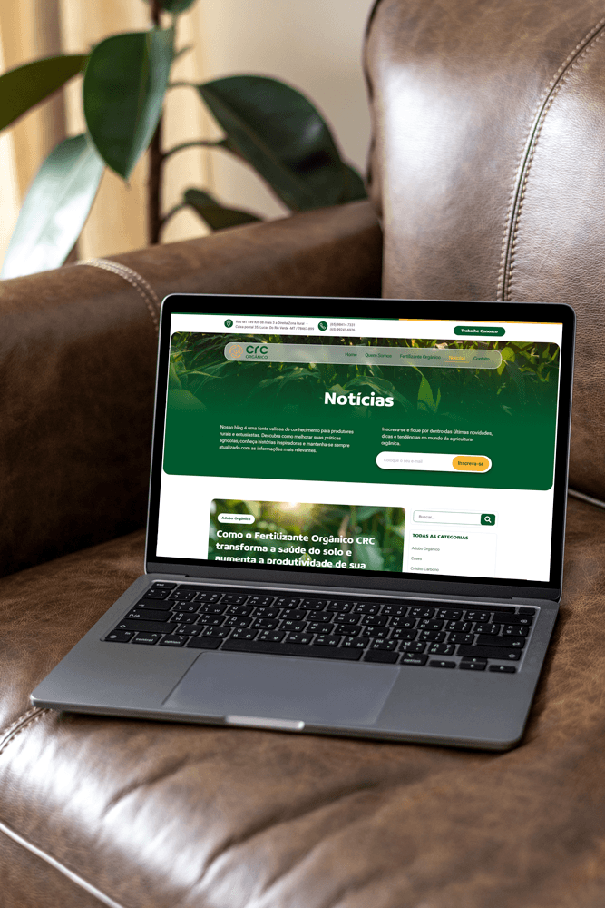 servicos-de-seo-profissional